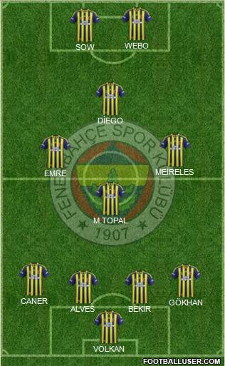 Fenerbahçe SK Formation 2014
