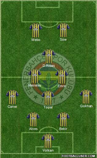 Fenerbahçe SK Formation 2014