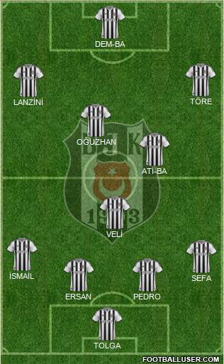 Besiktas JK Formation 2014
