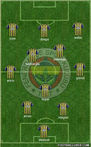 Fenerbahçe SK Formation 2014