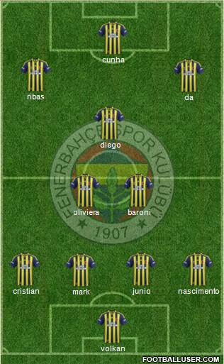 Fenerbahçe SK Formation 2014