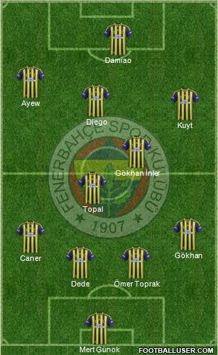 Fenerbahçe SK Formation 2014