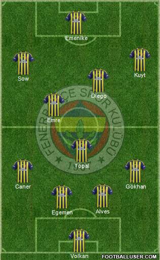 Fenerbahçe SK Formation 2014
