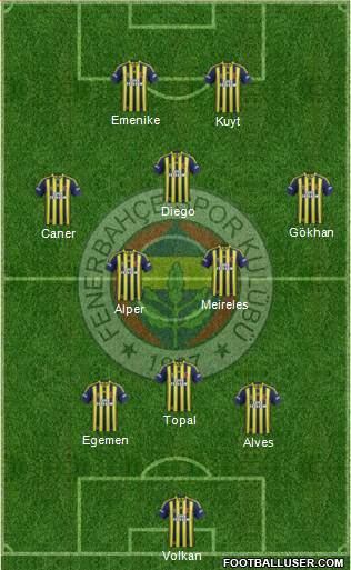 Fenerbahçe SK Formation 2014