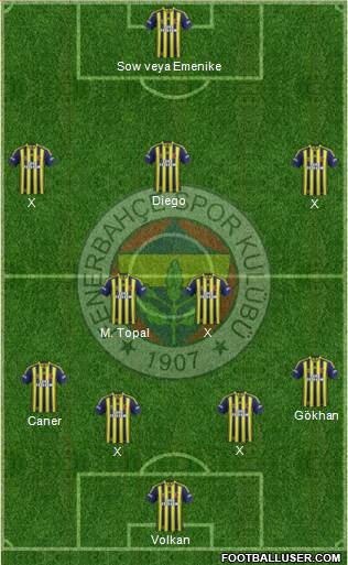 Fenerbahçe SK Formation 2014