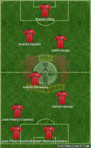 Bayer 04 Leverkusen Formation 2014