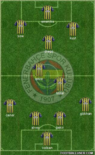 Fenerbahçe SK Formation 2014