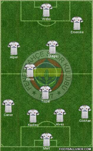 Fenerbahçe SK Formation 2014