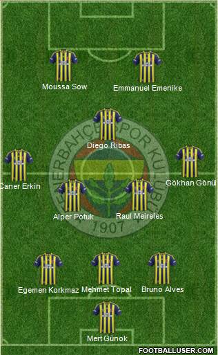 Fenerbahçe SK Formation 2014