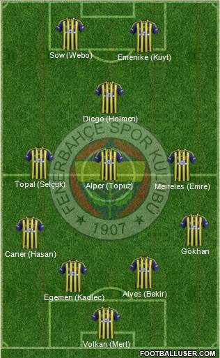 Fenerbahçe SK Formation 2014
