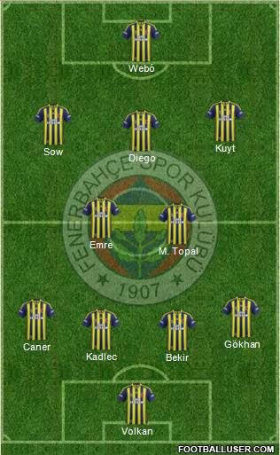 Fenerbahçe SK Formation 2014