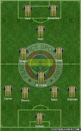 Fenerbahçe SK Formation 2014