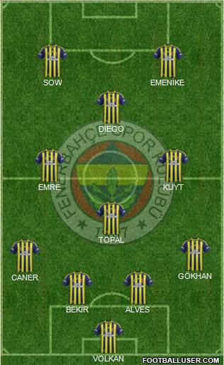 Fenerbahçe SK Formation 2014