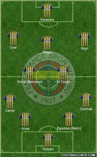 Fenerbahçe SK Formation 2014