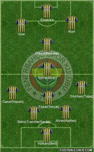 Fenerbahçe SK Formation 2014
