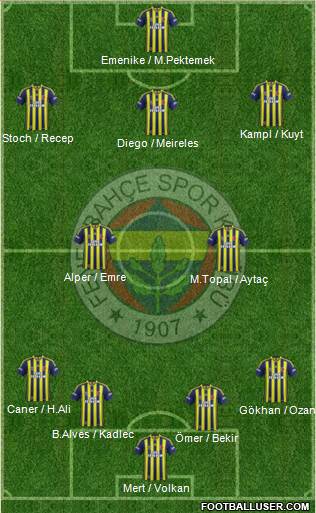 Fenerbahçe SK Formation 2014