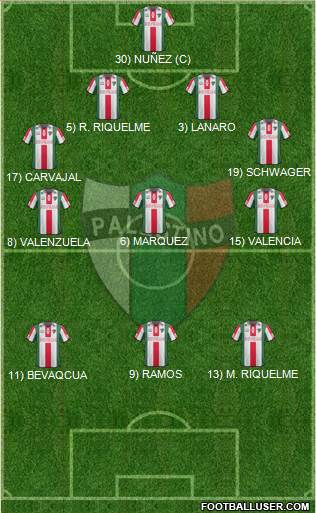 CD Palestino S.A.D.P. Formation 2014