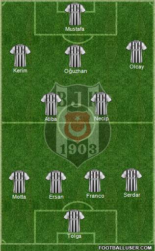 Besiktas JK Formation 2014