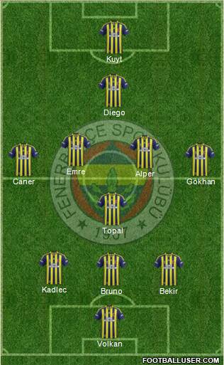 Fenerbahçe SK Formation 2014