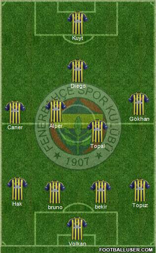 Fenerbahçe SK Formation 2014