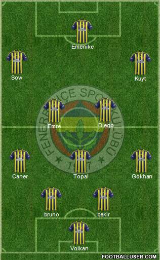Fenerbahçe SK Formation 2014