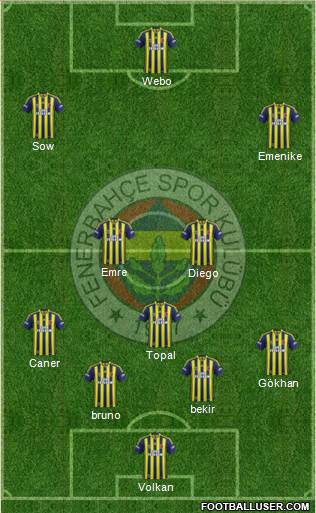 Fenerbahçe SK Formation 2014