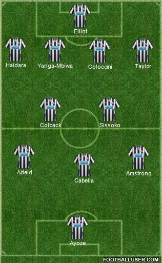Newcastle United Formation 2014