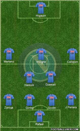 Napoli Formation 2014