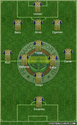 Fenerbahçe SK Formation 2014