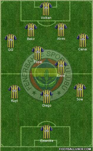 Fenerbahçe SK Formation 2014