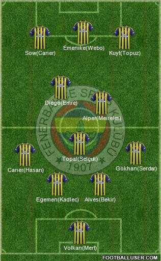 Fenerbahçe SK Formation 2014