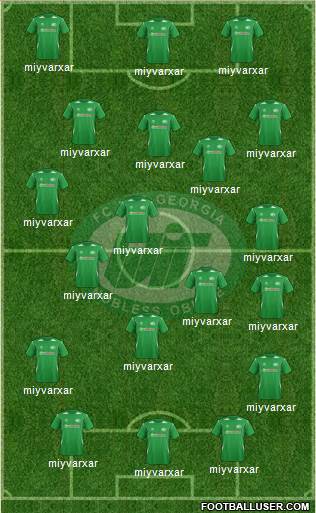 WIT-Georgia Tbilisi Formation 2014