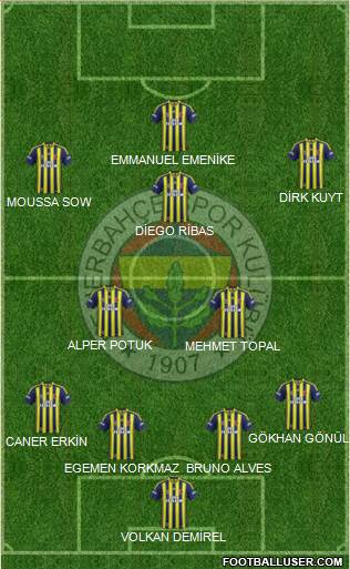 Fenerbahçe SK Formation 2014