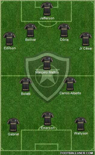 Botafogo FR Formation 2014