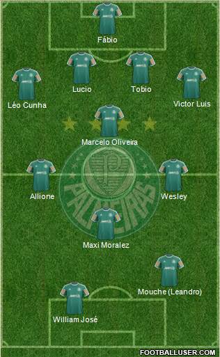 SE Palmeiras Formation 2014