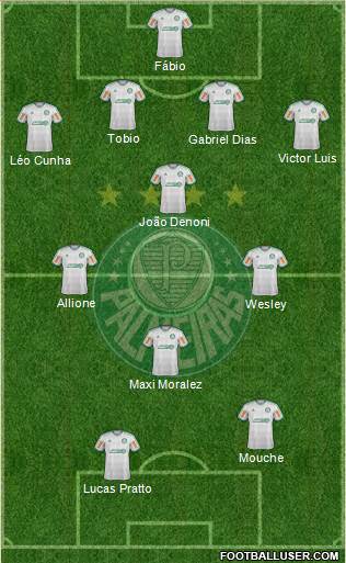 SE Palmeiras Formation 2014
