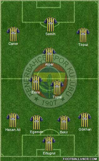 Fenerbahçe SK Formation 2014
