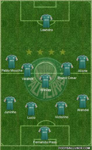 SE Palmeiras Formation 2014