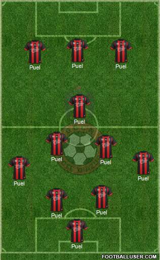 OGC Nice Côte d'Azur Formation 2014