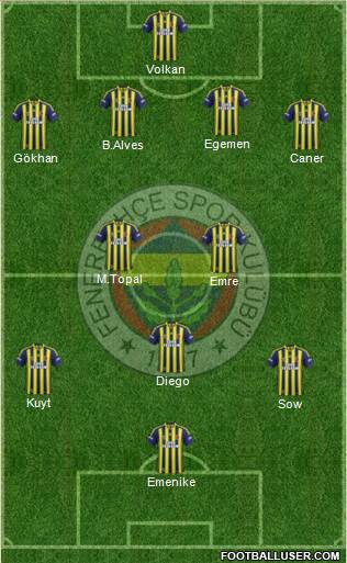 Fenerbahçe SK Formation 2014