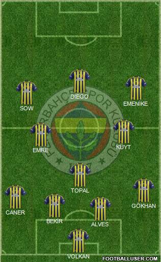 Fenerbahçe SK Formation 2014