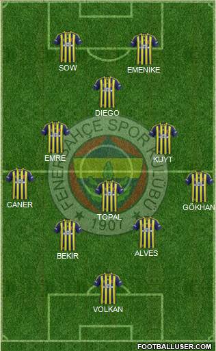 Fenerbahçe SK Formation 2014