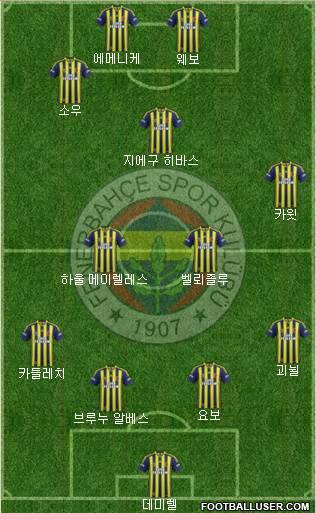 Fenerbahçe SK Formation 2014