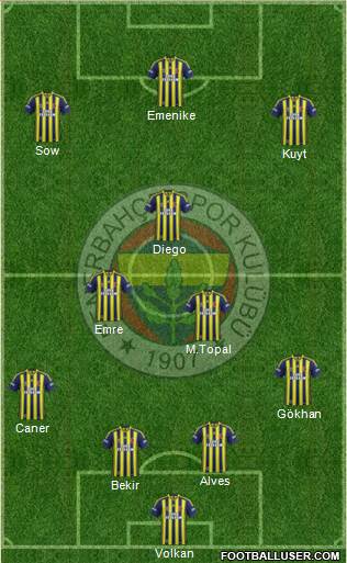 Fenerbahçe SK Formation 2014