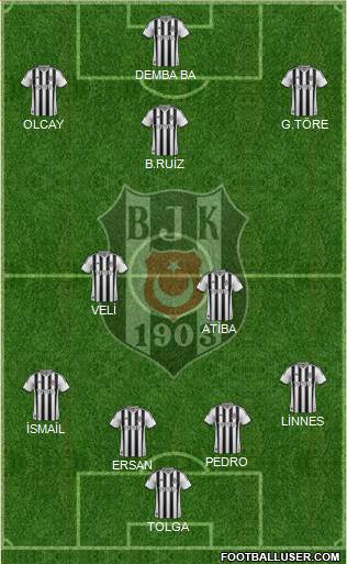 Besiktas JK Formation 2014