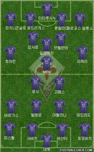 Fiorentina Formation 2014
