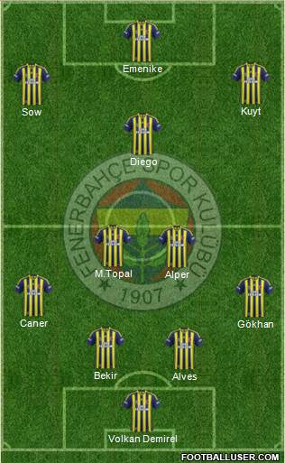 Fenerbahçe SK Formation 2014