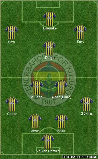 Fenerbahçe SK Formation 2014