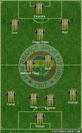 Fenerbahçe SK Formation 2014