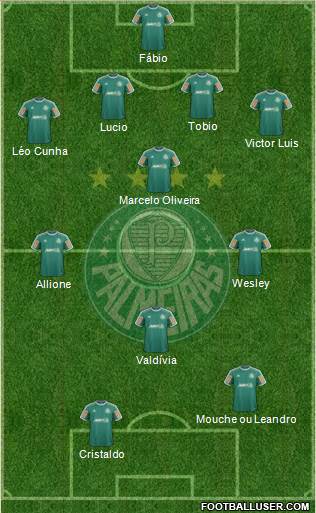 SE Palmeiras Formation 2014